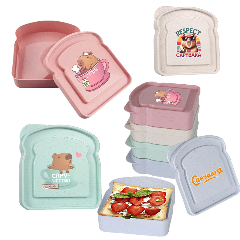 Food Storage Lunch Box - Capybara Sandviç Gıda Saklama Kutusu Konteyner