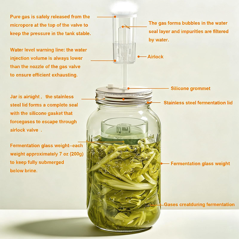 Mason Jar Wide Mouth - Fermantasyon Kiti, Geniş Ağızlı Mason Kavanozları