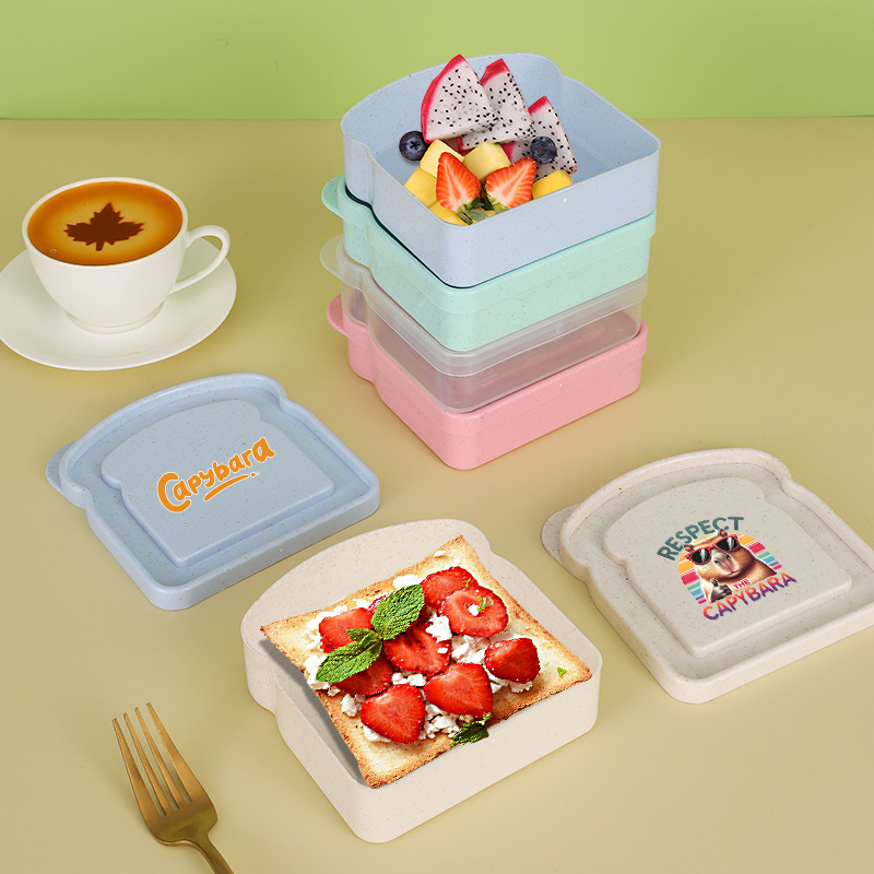 Capybara Sandviç Gıda Saklama  - Food Storage Lunch Box incelemesi ve fiyatı